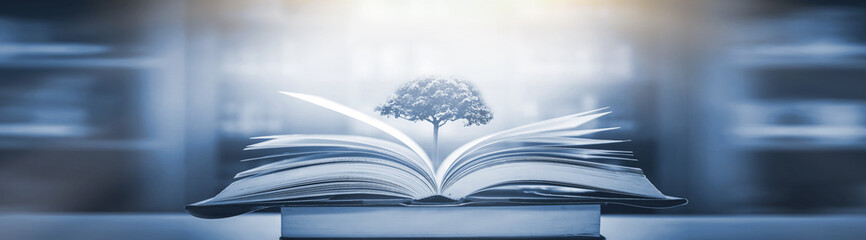 冒险岛私服发布网