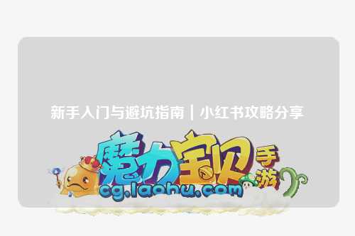 新手入门与避坑指南｜小红书攻略分享