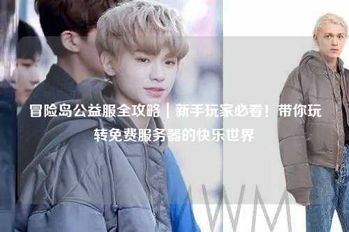 冒险岛公益服全攻略|新手玩家必看!带你玩转免费服务器的快乐世界