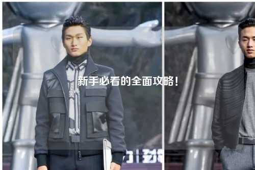 新手必看的全面攻略!