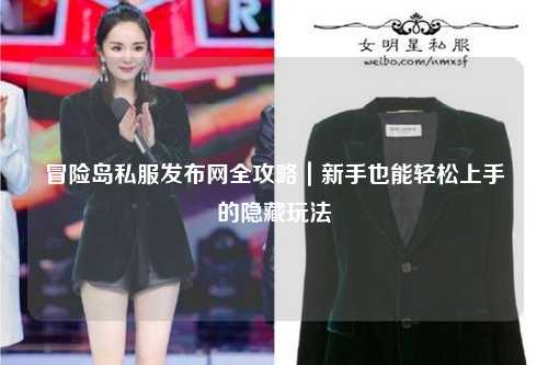 冒险岛私服发布网全攻略|新手也能轻松上手的隐藏玩法