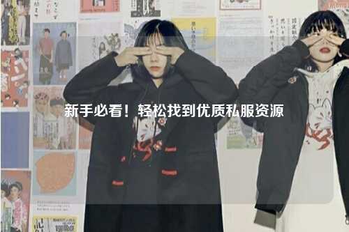 新手必看!轻松找到优质私服资源