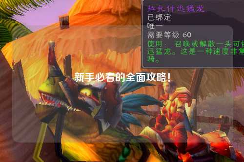 新手必看的全面攻略！