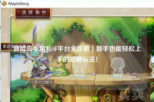 冒险岛手游私SF平台全攻略|新手也能轻松上手的隐藏玩法!