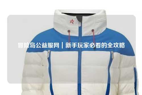 冒险岛公益服网|新手玩家必看的全攻略