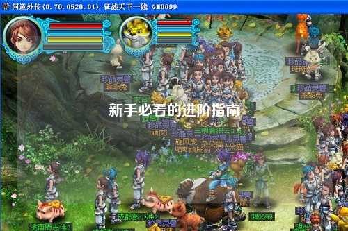 新手必看的进阶指南