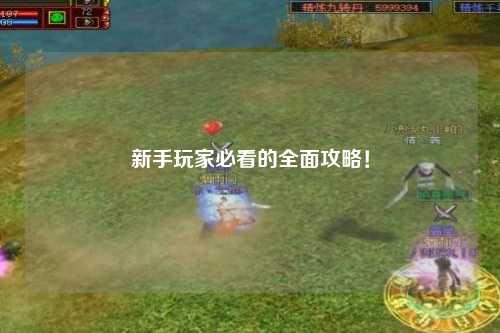 新手玩家必看的全面攻略!