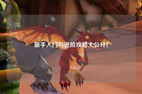 新手入门与进阶攻略大公开！