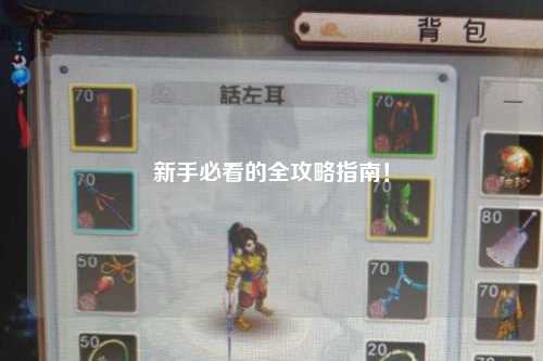 新手必看的全攻略指南！