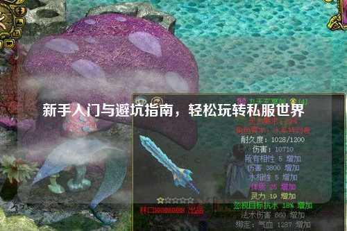 新手入门与避坑指南，轻松玩转私服世界