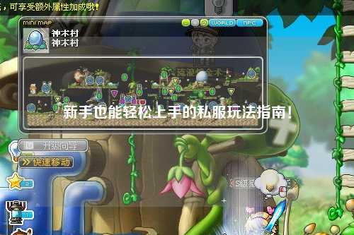 新手也能轻松上手的私服玩法指南！