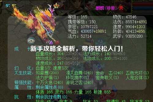 新手攻略全解析，带你轻松入门！