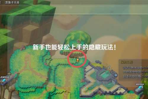 新手也能轻松上手的隐藏玩法！