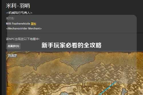 新手玩家必看的全攻略