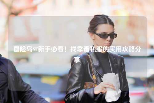冒险岛SF新手必看！找靠谱私服的实用攻略分享✨