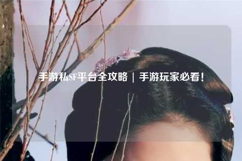手游私SF平台全攻略 | 手游玩家必看！