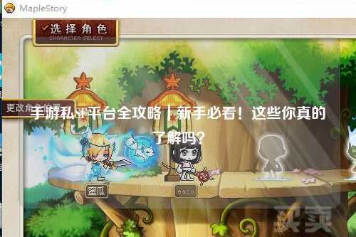 手游私SF平台全攻略｜新手必看！这些你真的了解吗？