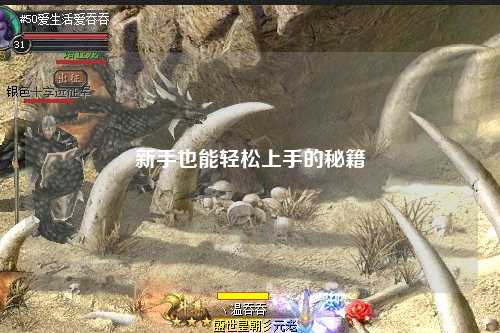 新手也能轻松上手的秘籍