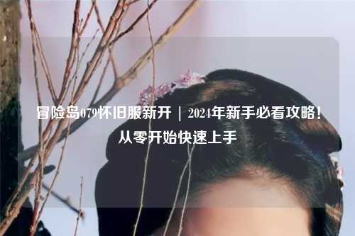 冒险岛079怀旧服新开 | 2024年新手必看攻略！从零开始快速上手