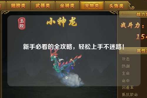 新手必看的全攻略，轻松上手不迷路！